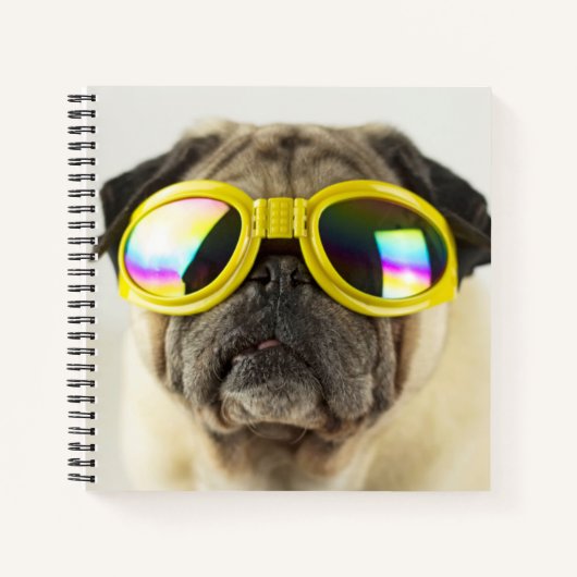 Pug met Goggles Notitieboek (Voorkant)