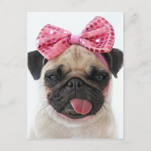 Pug met roze romp briefkaart