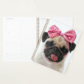 Pug met roze romp planner (Display)