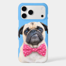 Pug met roze strik