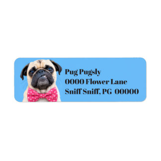 Pug met roze strik etiket