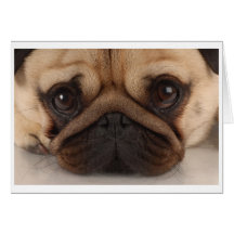 Pug Mok Card