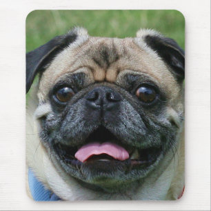 Pug mousepad muismat