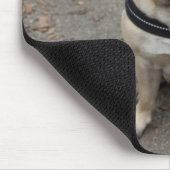 Pug Muismat (Hoek)