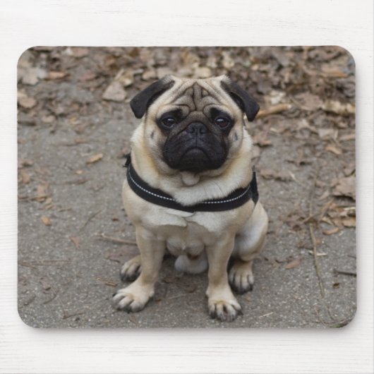 Pug Muismat (Voorkant)