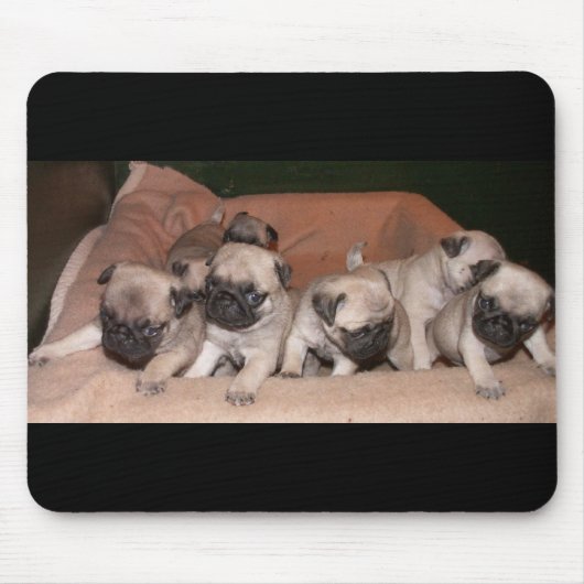 pug muismat (Voorkant)