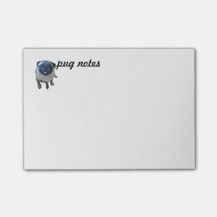 Pug Notes