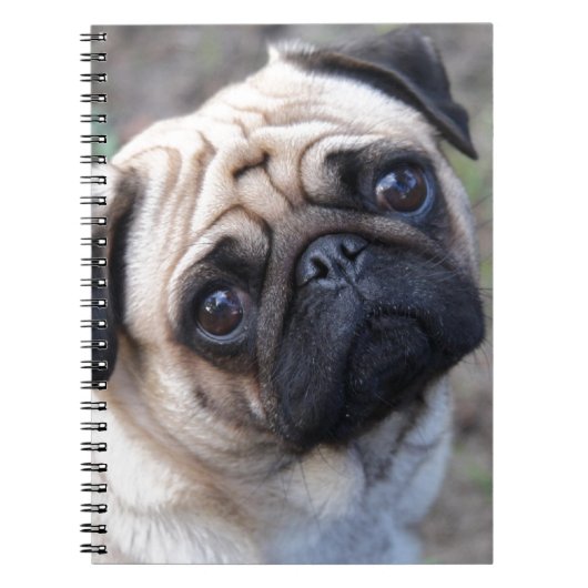 PUG NOTITIEBOEK (Voorkant)