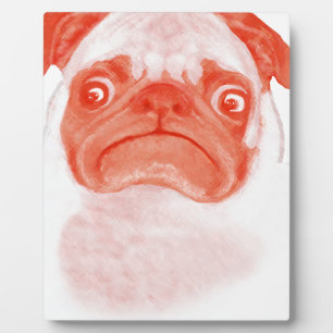PUG_oranje3.png Fotoplaat