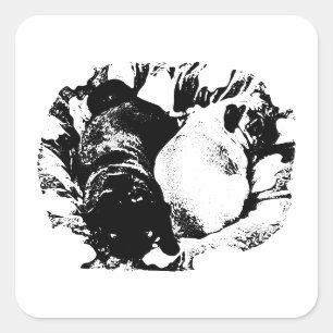 Pug Paar in Knus Bed Vierkante Sticker