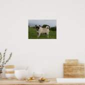 Pug Panting Poster (Keuken)