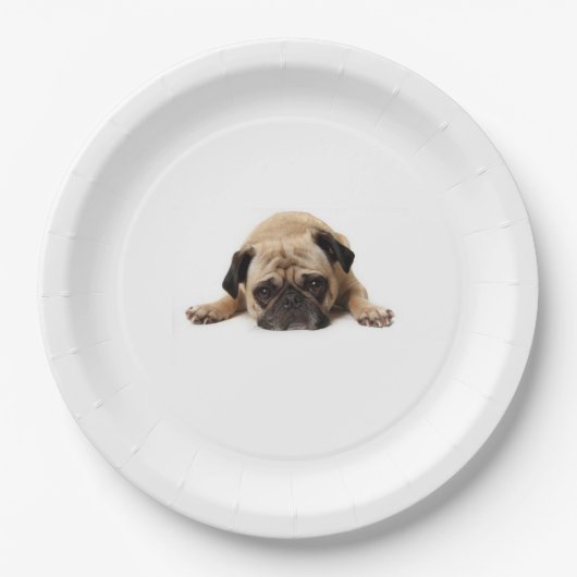 PUG PAPIEREN BORD (Voorkant)