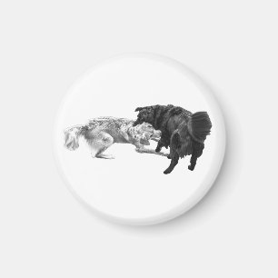 Pug-pauze, gearceerde magneet