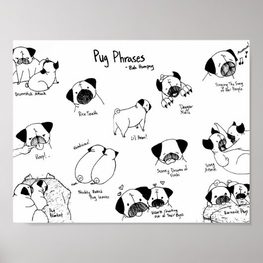 Pug Phrases Poster (Voorkant)