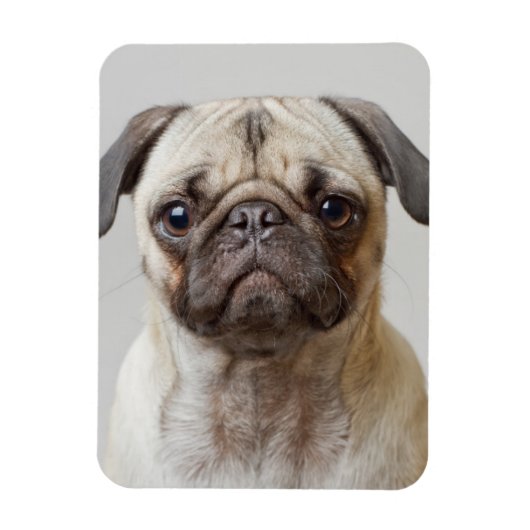 Pug Portrait Magneet (Verticaal)