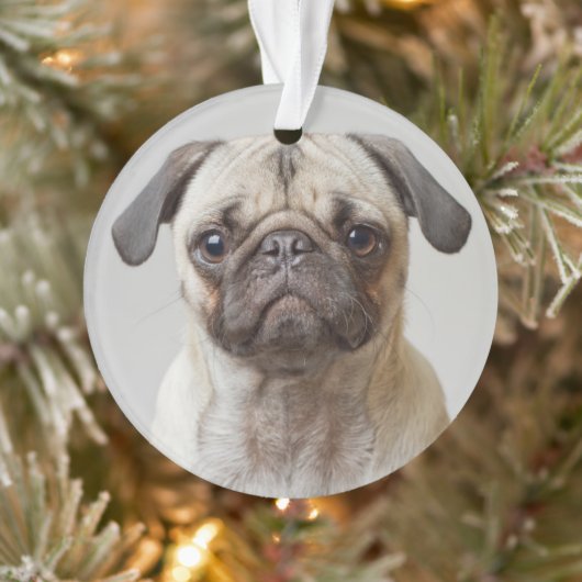 Pug Portrait Ornament (Boom)