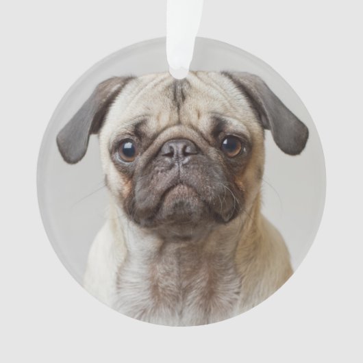 Pug Portrait Ornament (voorkant)