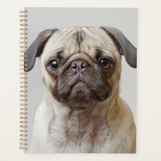 Pug Portrait Planner (Voorkant)