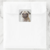 Pug Portrait Vierkante Sticker (Tas)