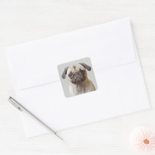 Pug Portrait Vierkante Sticker