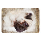 Pug  Portret Magneet (Horizontaal)