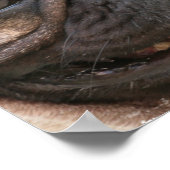 Pug-Poster afdrukken Poster (Hoek)