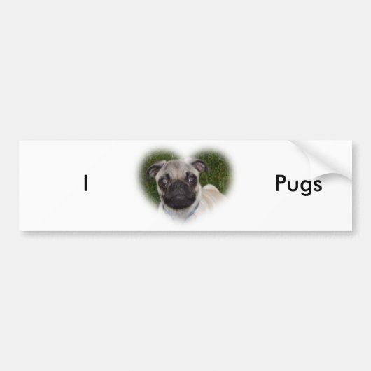 Pug Pup Bumpersticker (Voorkant)