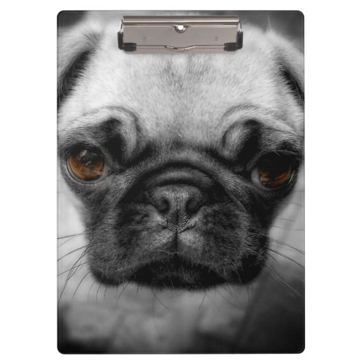 Pug Pup Klembord (Voorkant)