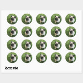 Pug Pup Ronde Sticker (Vel)