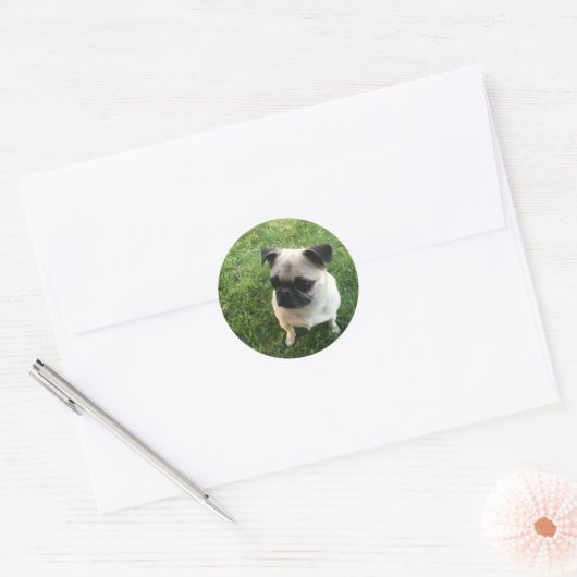 Pug Pup Ronde Sticker (Envelop)