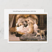 Pug Puppies Briefkaart (Voorkant / Achterkant)