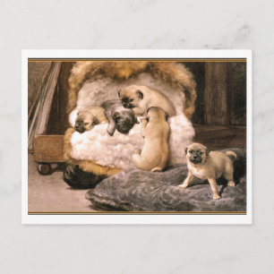 Pug Puppies Briefkaart