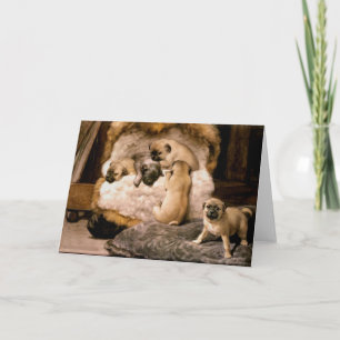 Pug Puppies Card Kaart