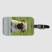 Pug Puppy Bagagelabel (Voorkant (horizontaal))