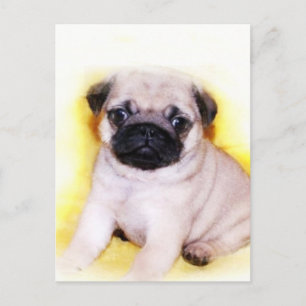 Pug Puppy briefkaart