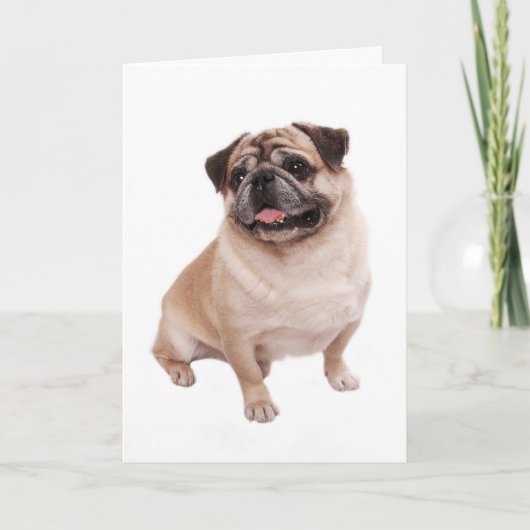 Pug Puppy Dog Blank-briefkaart Kaart (Voorkant)