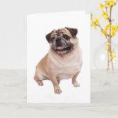 Pug Puppy Dog Blank-briefkaart Kaart (Gele Bloem)