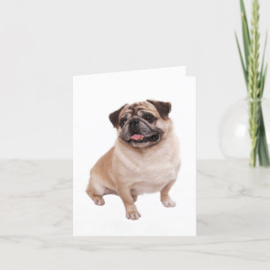Pug Puppy Dog Blank Greeting Note Kaart