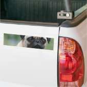 Pug Puppy Dog Bumperstickers (Op Truck)