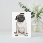 Pug Puppy Dog Greeting Briefkaart (Staand voorkant)