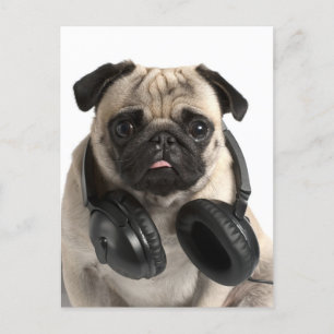 Pug Puppy Dog Greeting Briefkaart