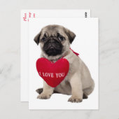 Pug Puppy Dog Greeting Briefkaart (Voorkant / Achterkant)