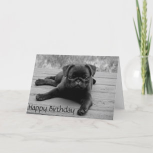 Pug Puppy Dog Happy Birthday Card - Verse binnenka Kaart