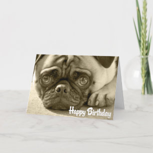 Pug Puppy Dog Happy Birthday Kaart - Verse binnen