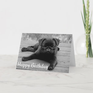 Pug Puppy Dog Happy Birthday Kaart - Zwart & Wit