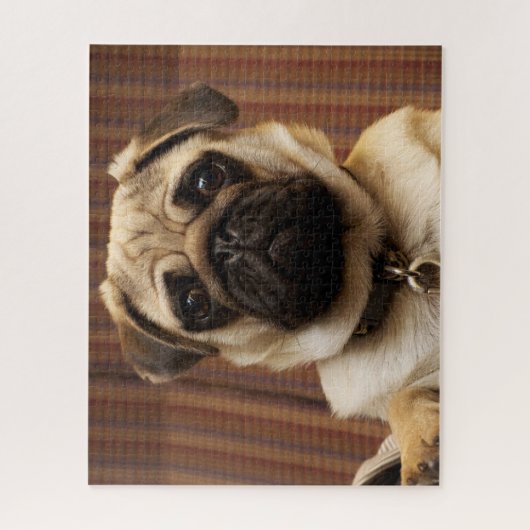 Pug Puppy Dog Legpuzzel (Verticaal)