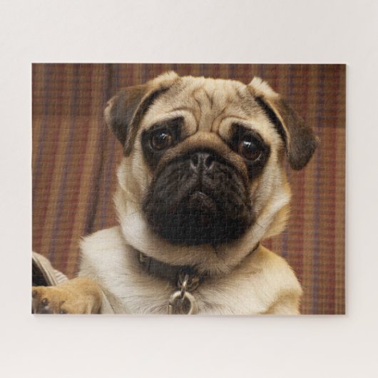 Pug Puppy Dog Legpuzzel (Horizontaal)