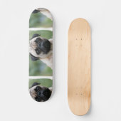 Pug Puppy Dog Skateboard (Voorkant)