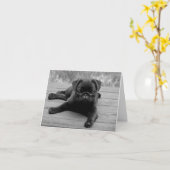 Pug Puppy Dog Zwart & Wit Blank Note Kaart (Gele Bloem)
