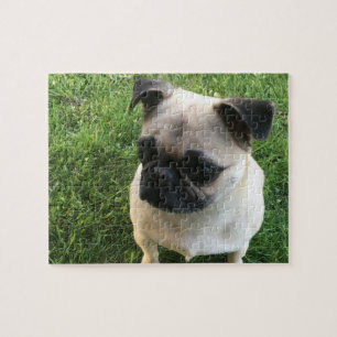 Pug Puppy Foto Legpuzzel